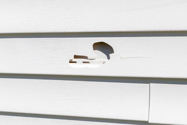 Trusted Ucon, ID Siding Installation & Repair Experts